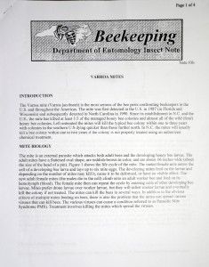 Beekeeping Pamphlet